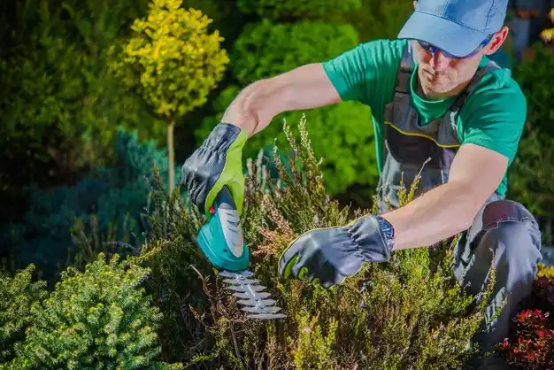 landscaping services North Bellport